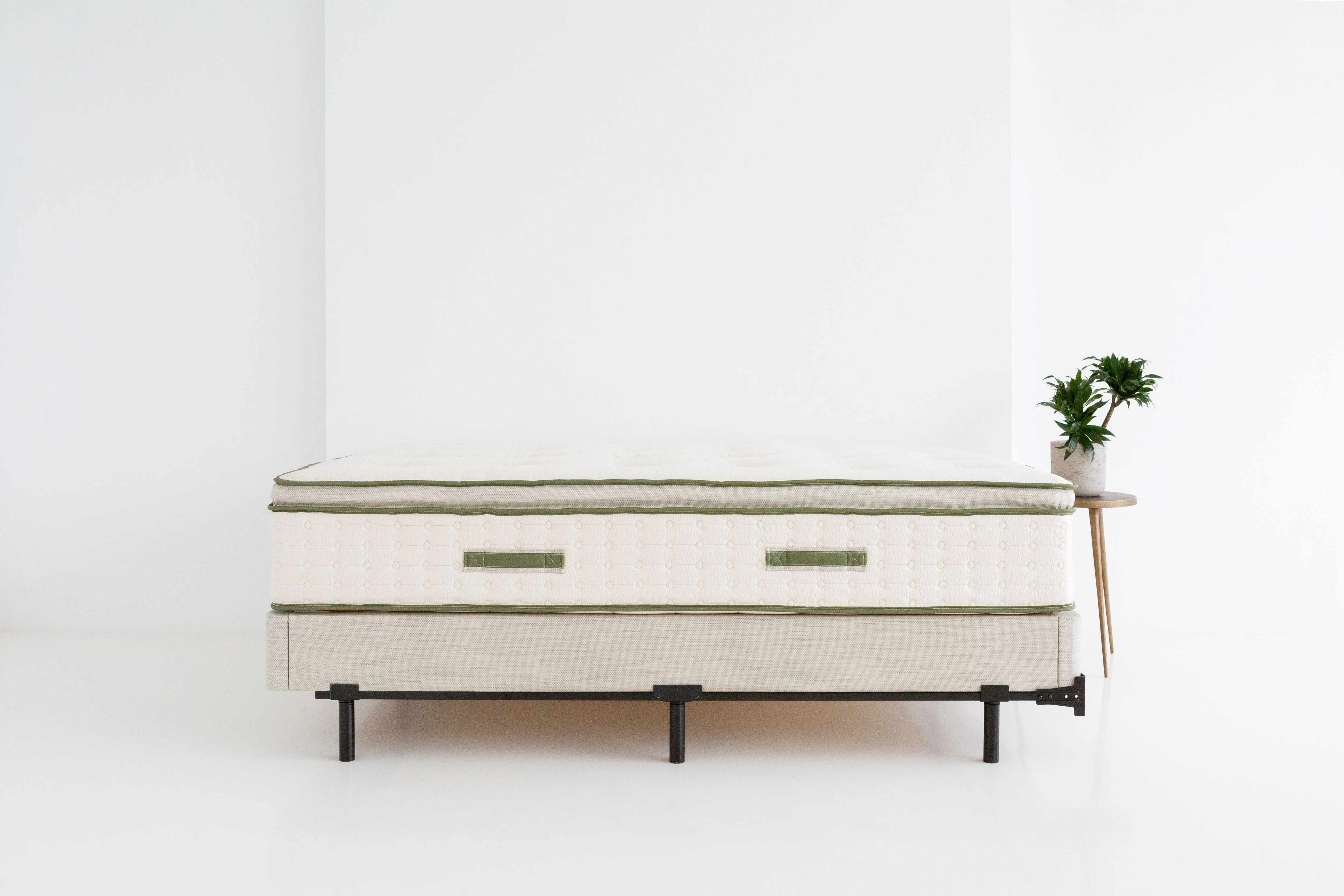 Avocado Green Medium Plush Pillow Top Mattress - Image 3