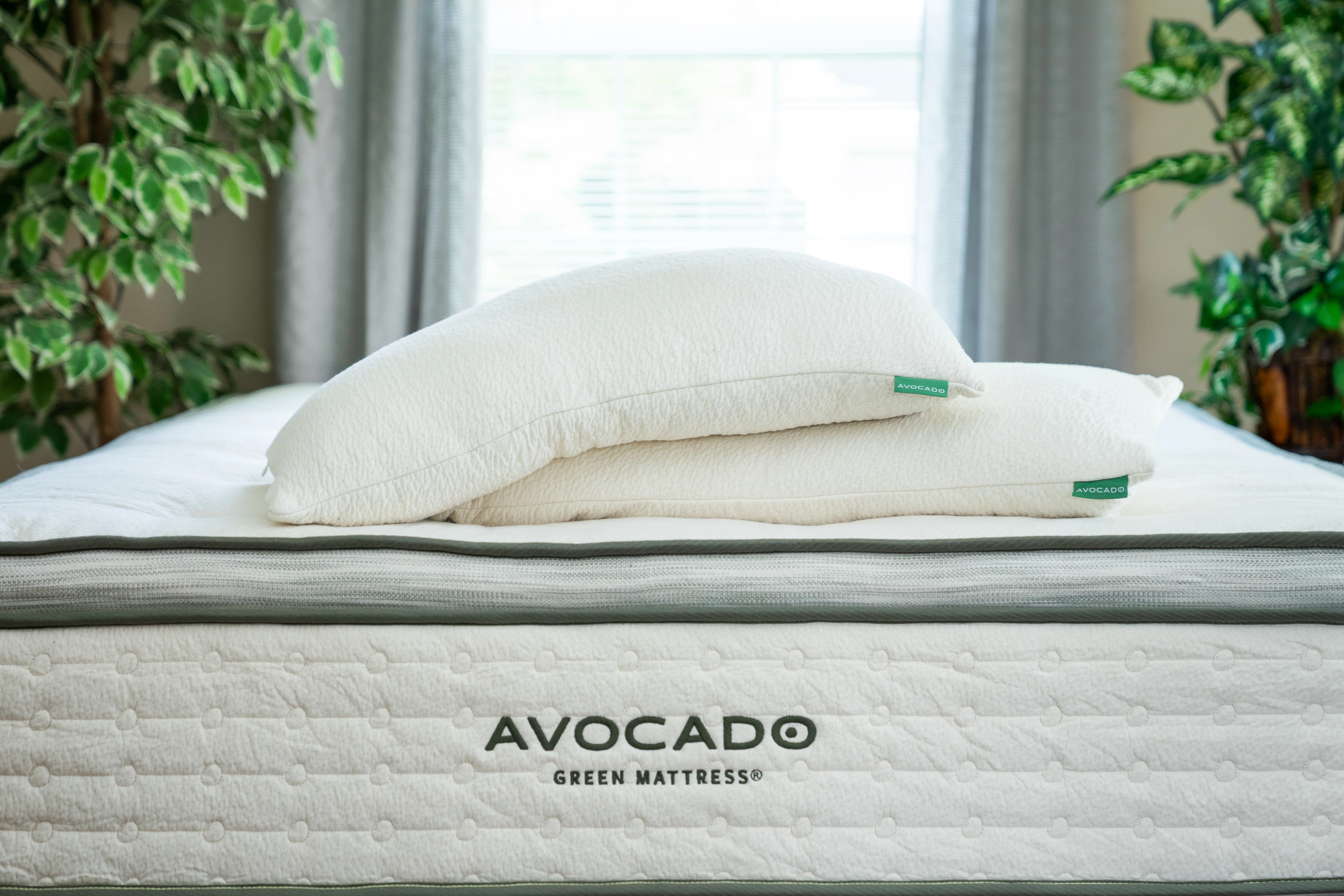 Avocado Green Medium Plush Pillow Top Mattress - Image 5