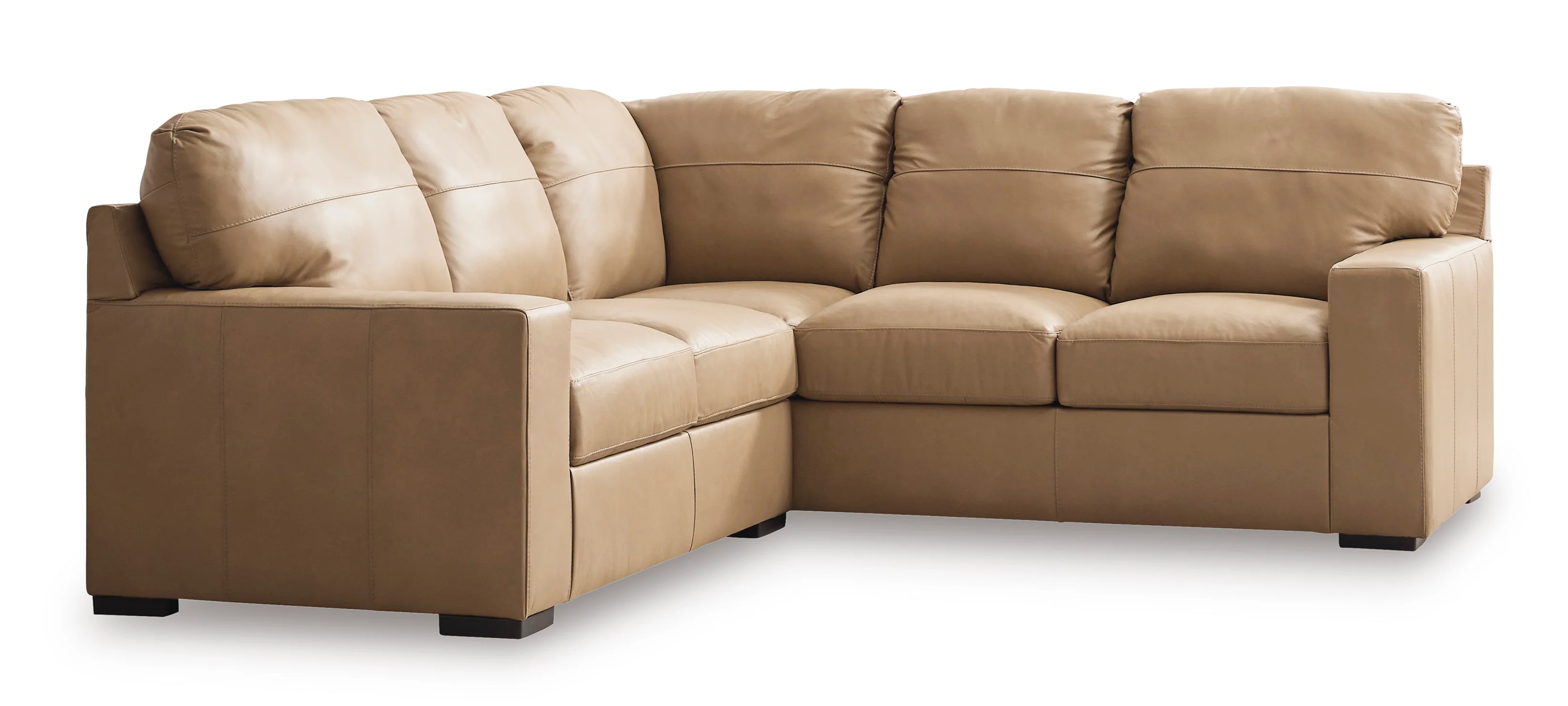 Bandon 2-Piece Sectional - Image 3