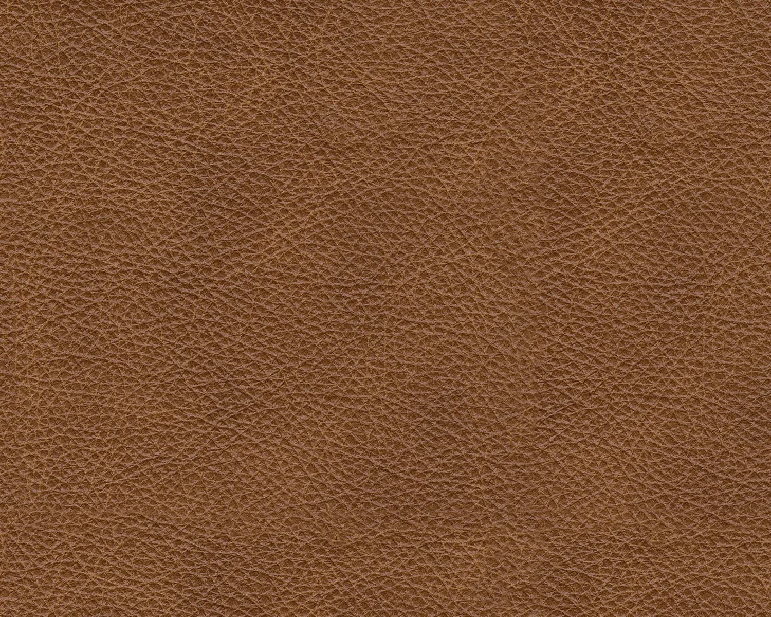 Carianna Sofa - Image 7
