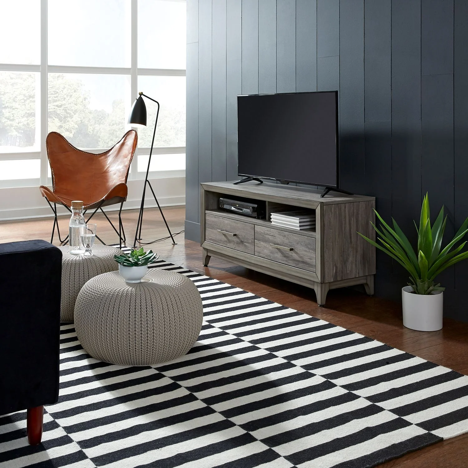 Darwin 47" TV Console - Image 3
