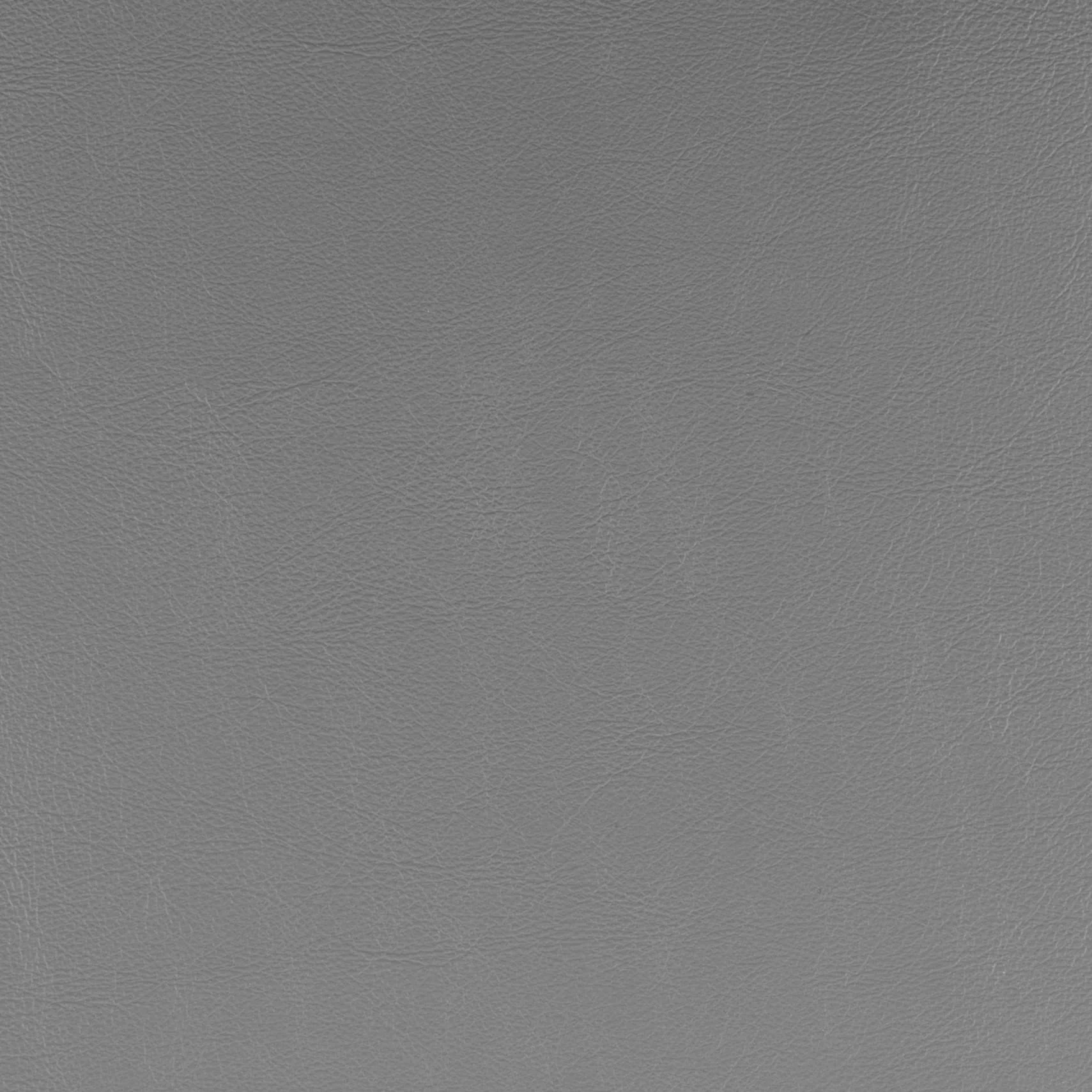 Delfin Dining Chair (Set of 2) Gray - Image 6