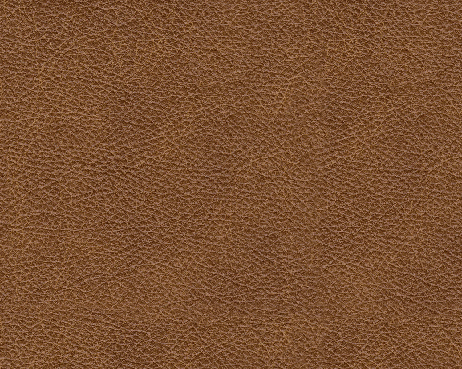 Emilia Oversized Accent Ottoman - Image 4