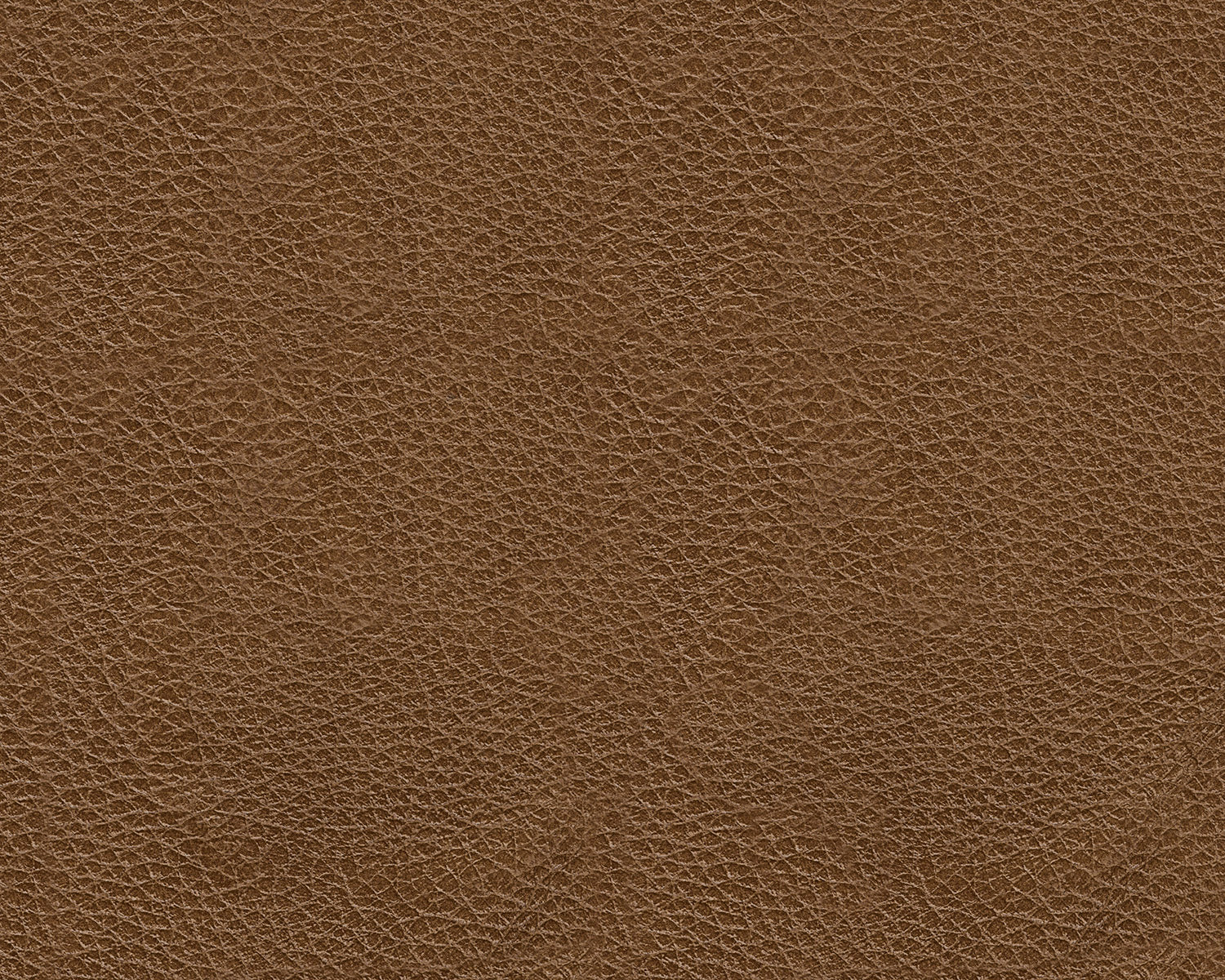 Gambellara Sofa - Image 5
