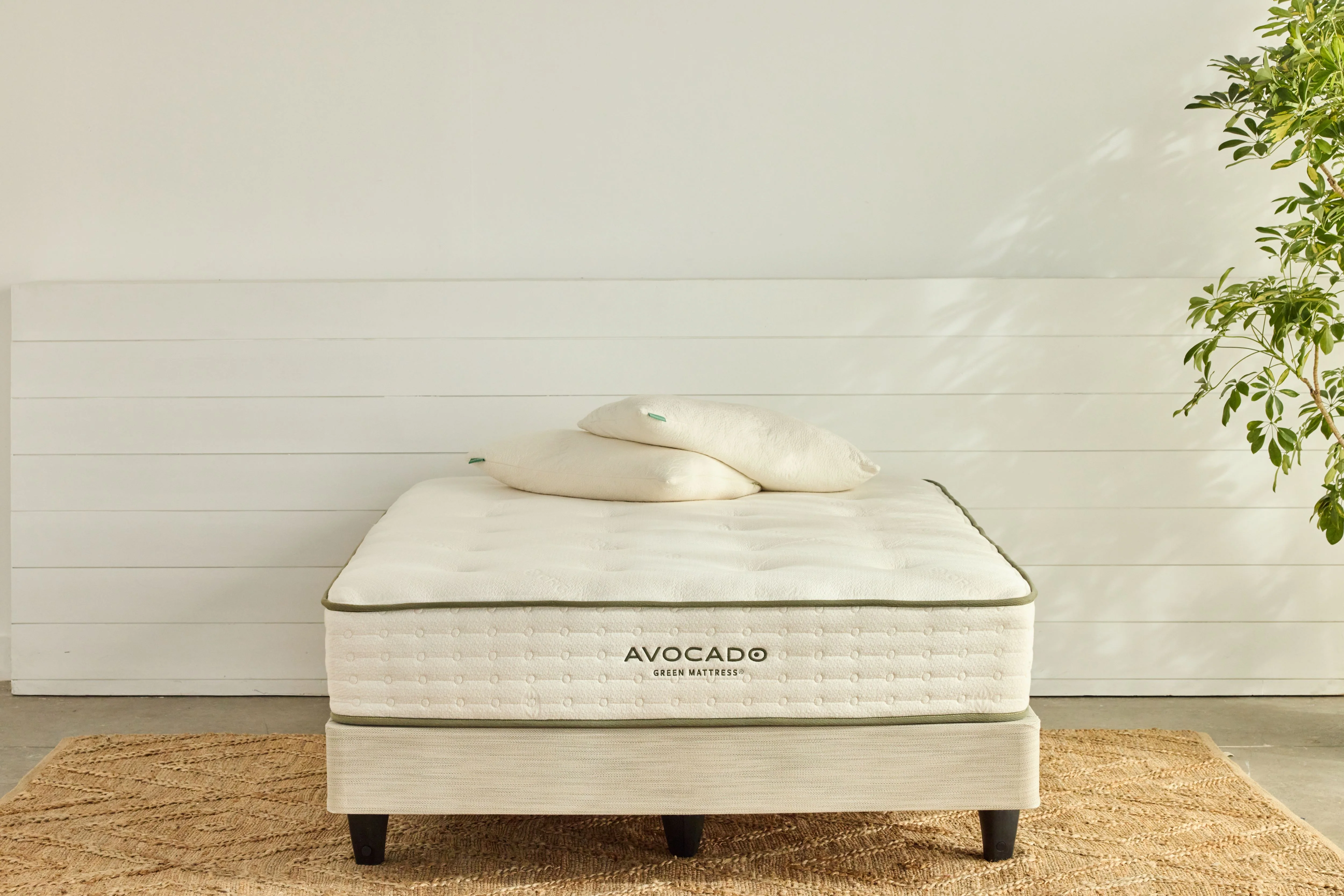 Avocado Green Mattress Foundation - Image 3