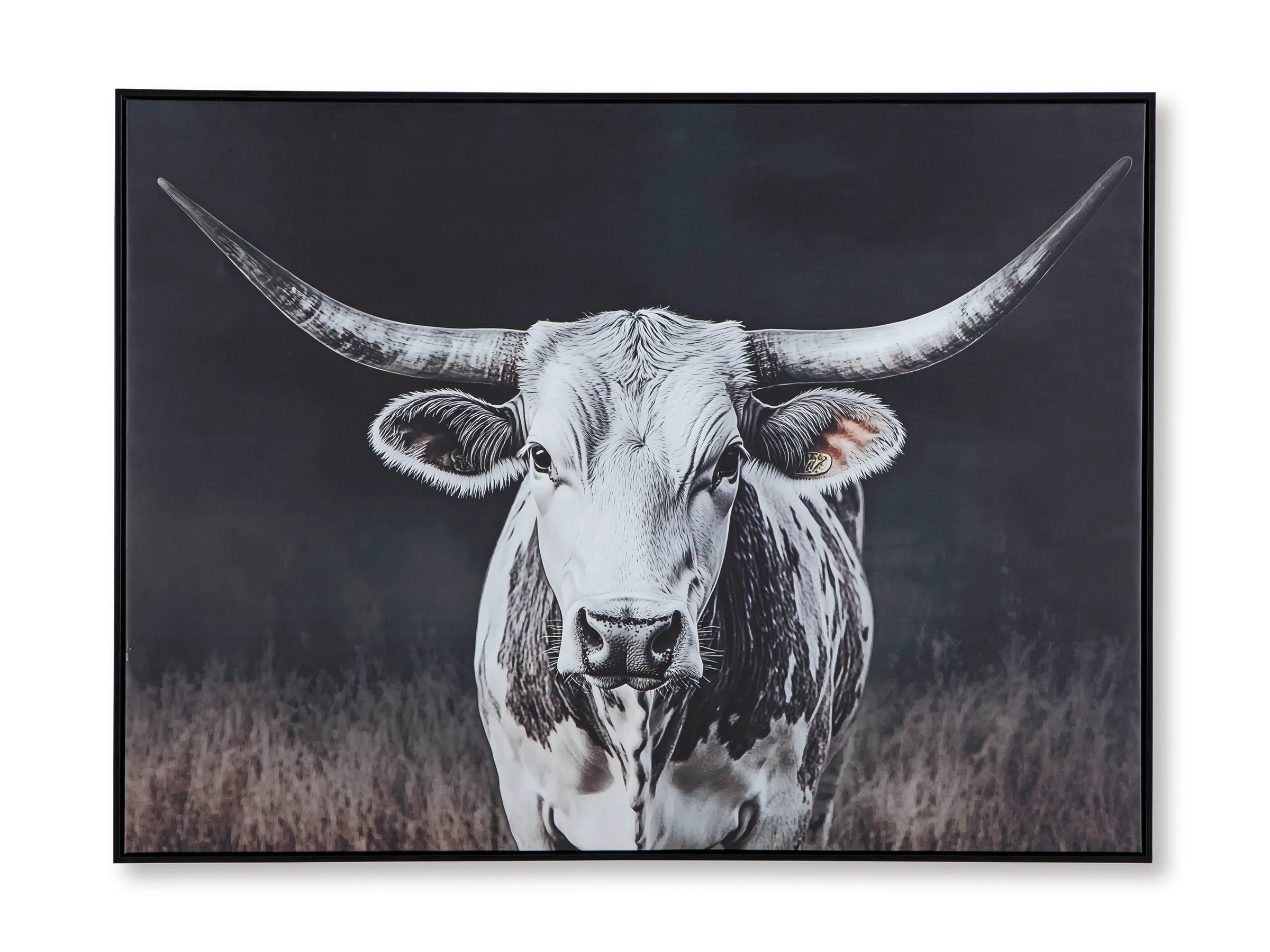 Harlandale Wall Art