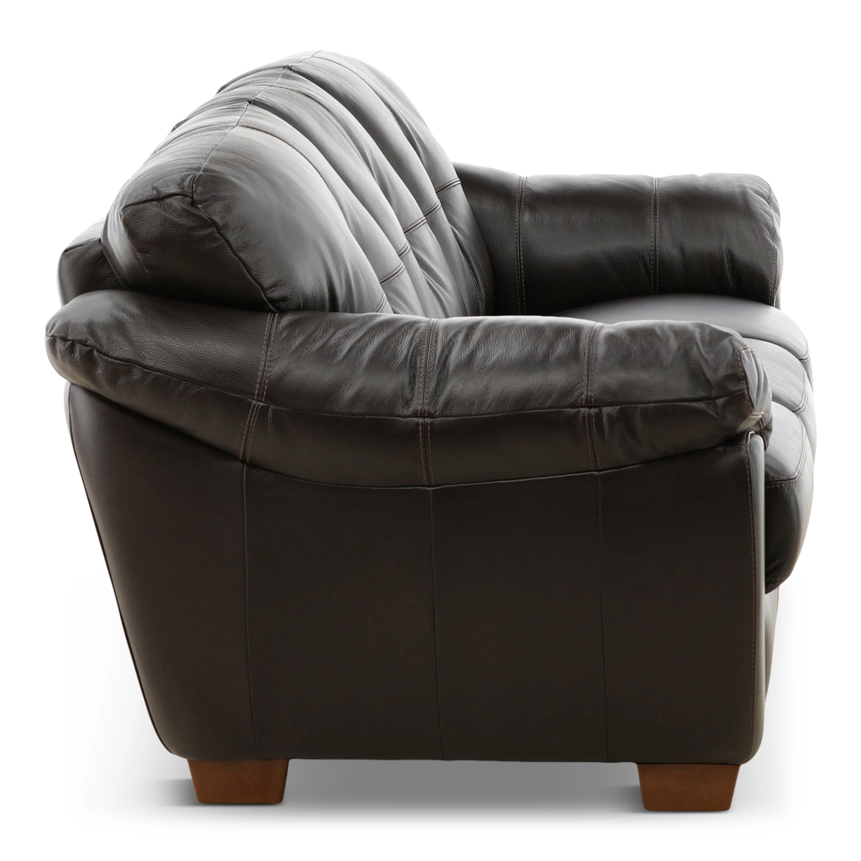 Camy Leather Sofa - Image 12