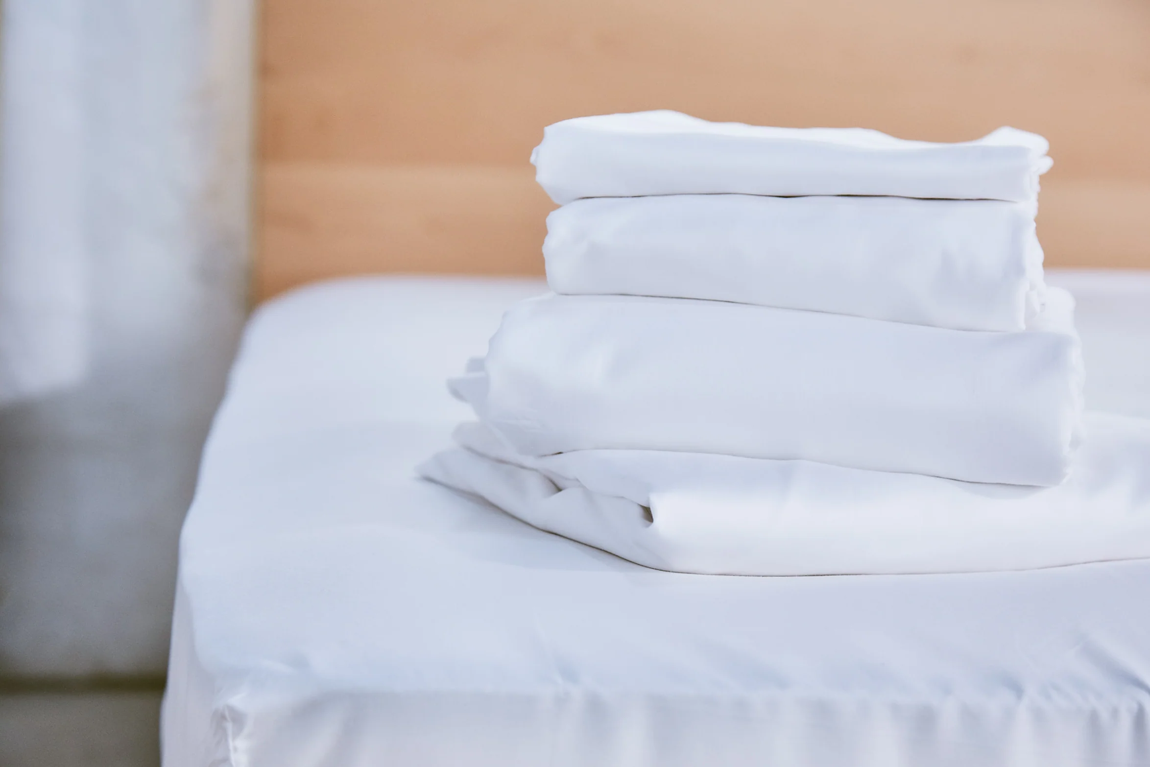 Avocado Organic Cotton Pillow Case - Image 2
